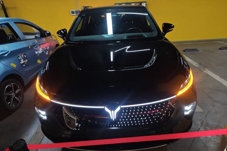 Used VOYAH COURAGE 2024 Four-Wheel Drive Global Edition