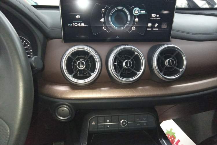 Used Wey VV5 2021 1.5T Two-Wheel Drive Color Pioneer
