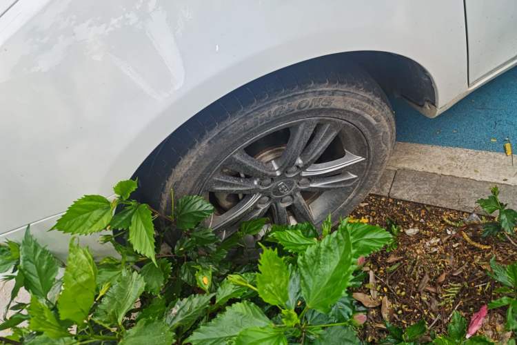 Used Geely Auto Emgrand 2017 Sedan Million Edition 1.5L Manual - Upward Version Exterior 4