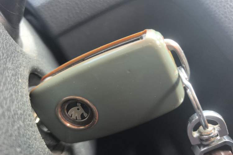 Used Skoda Rapid 2019 1.5L Manual Comfort Edition China V Standard