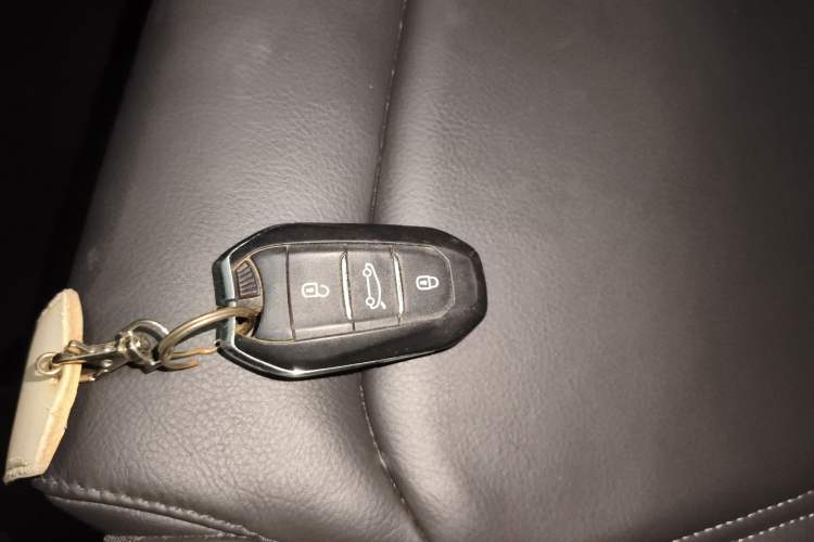 Used DS 6 2016 1.6T Luxury Edition THP160