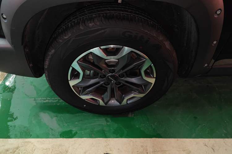 Used Haval DARGO 2024 2.0T DCT Chinese Rural Dog Edition
