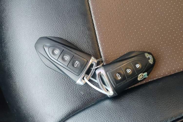 Used Leopaard CS9 2017 1.5L Manual Fashion Model