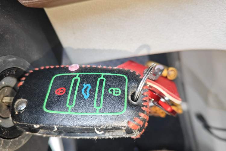 Used FORTHING Lingzhi 2020 M5L 1.6L Utility Model
