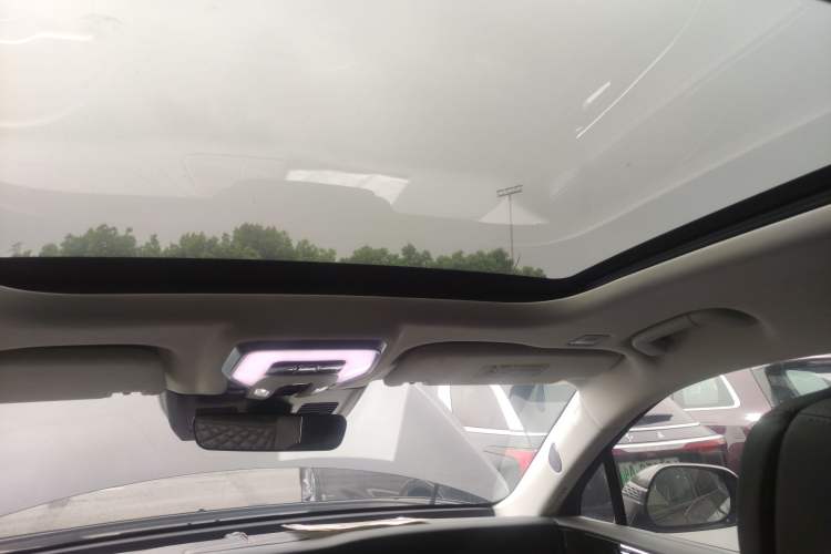 Used Hongqi E-HS9 2021 460 km Range Flagship Edition Six-Seater Headliner