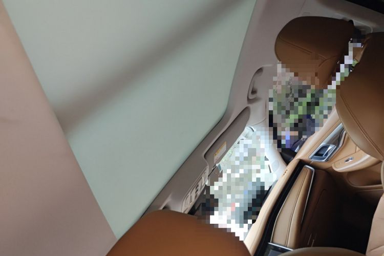 Used Roewe MARVEL X 2018 Rear-Drive Model Headliner