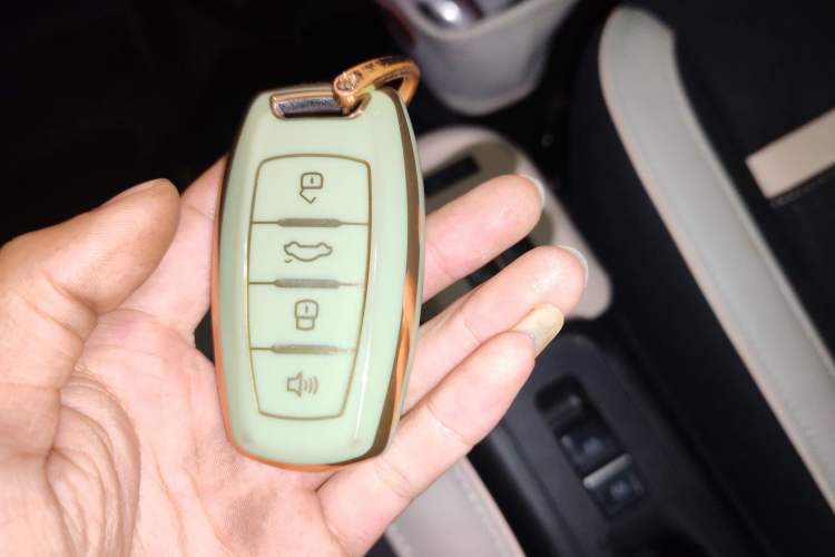 Used ORA Black Cat 2022 351 km Comfort Version Ternary Lithium