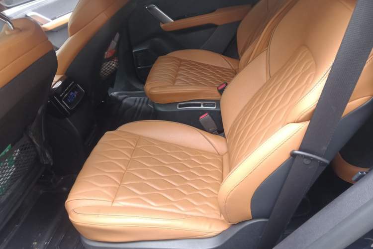 Used BYD Tang New Energy 2022 EV 730KM Luxury Model Left Rear Seat