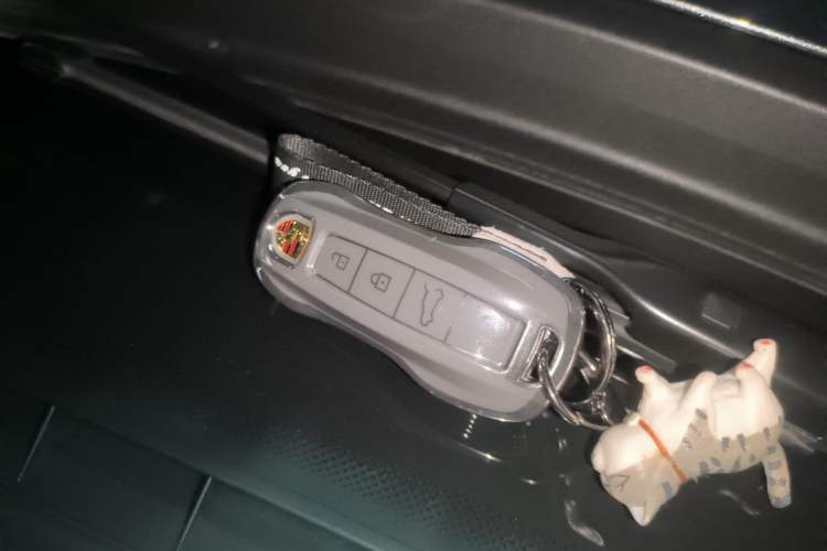 Used Porsche Panamera 2023 Facelifted Panamera 2.9T Platinum Edition