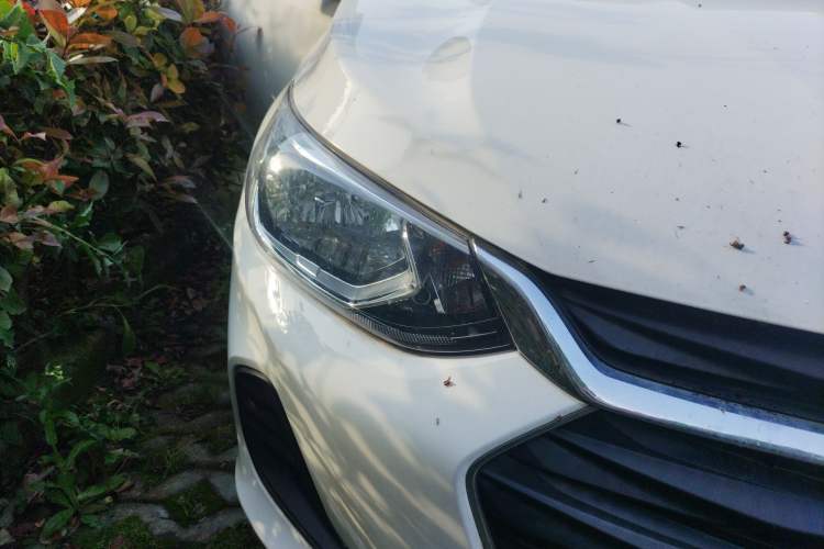 Used Chevrolet Cavalier 2020 325T Automatic Enjoyment Edition