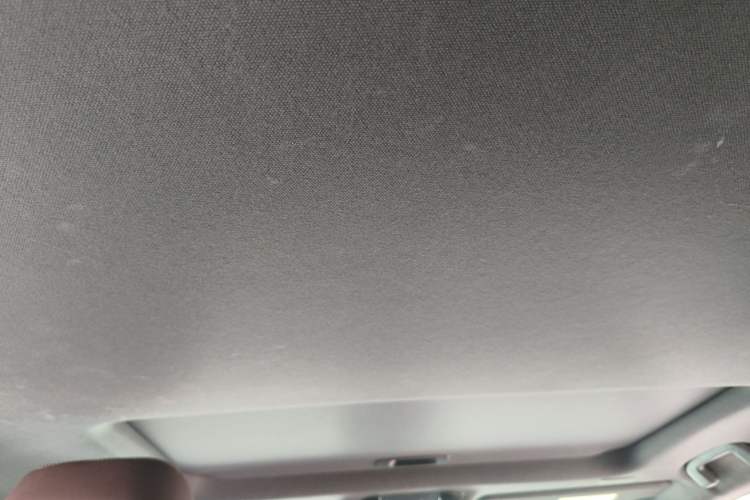 Used Toyota Prado 2024 2.4T Wilderness WX Edition 6 Seats Headliner