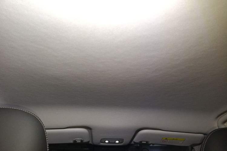 Used NETA V 2021 Long-Range Entertainment Edition Upgrade Model Headliner