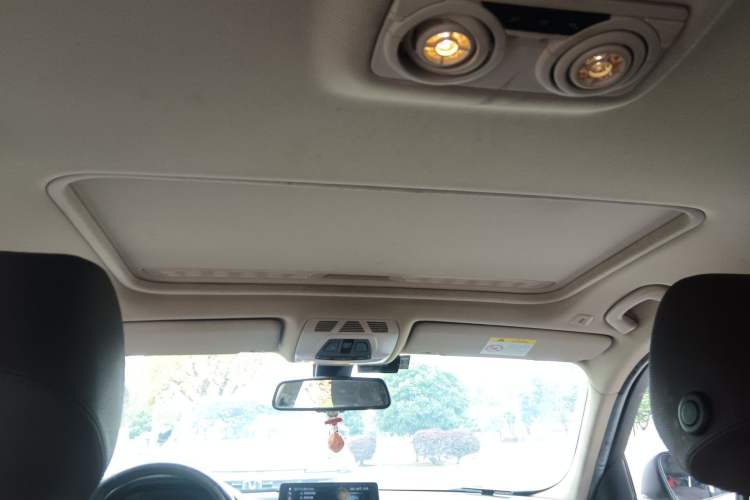 Used BMW 3 Series 2019 320Li Fashion Model Headliner