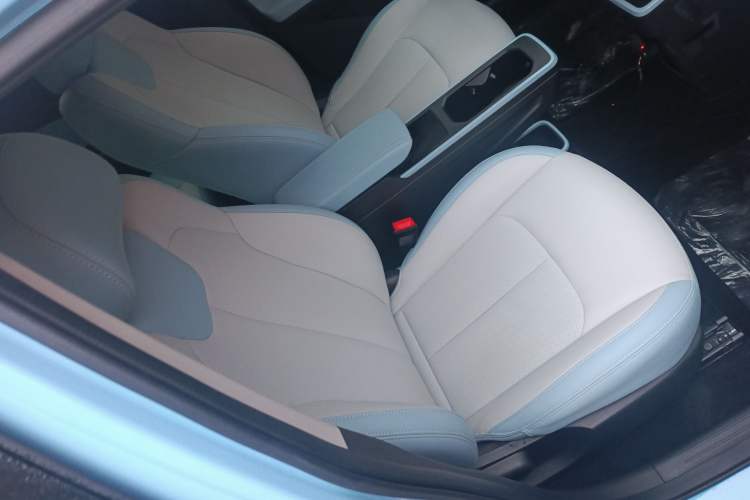 Used NETA AYA 2023 401 Lite Right Front Seat