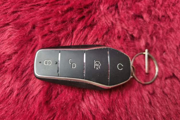 Used BYD Seagull 2023 Flying Edition Vehicle Key