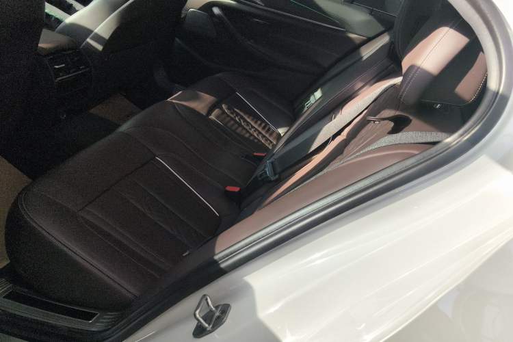 Used BMW 5 Series 2018 Revised Version 530Li Leading Edition Luxury Package
