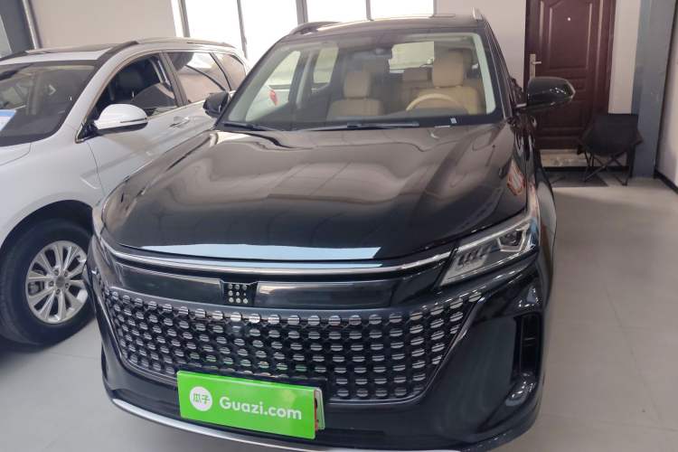 Used Landian E5 2024 Honor Edition 100KM Deluxe 7-Seater