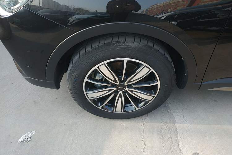 Used Haval H6 2023 National Trend Edition 1.5T Automatic Champion Version
