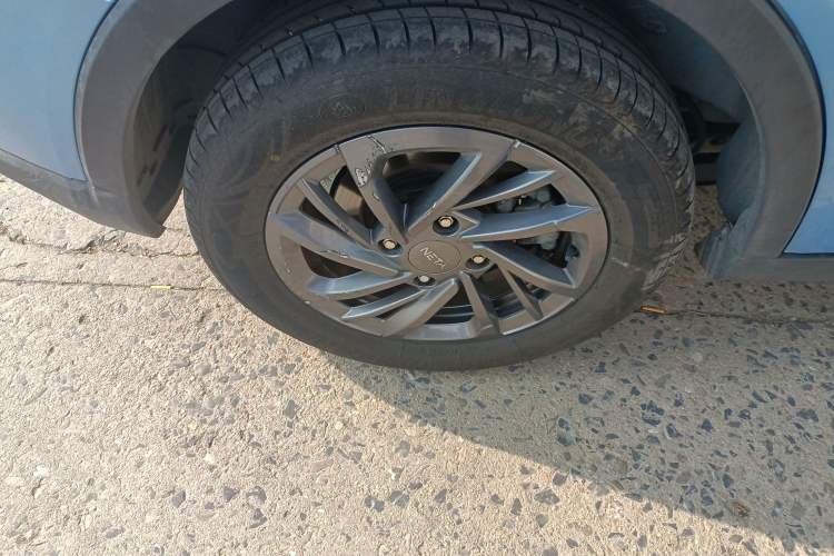 Used NETA V 2022 Standard Range Industry Custom Edition Exterior 5