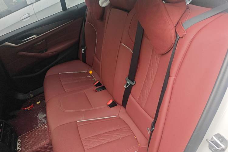 Used BMW 5 Series 2023 530Li Leading Model M Sport Package