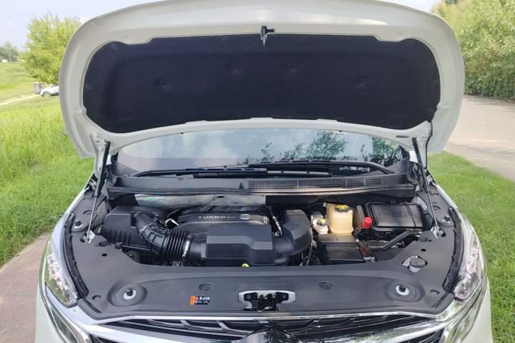 Used Buick GL8 2022 ES Landtrek 653T Luxury Edition