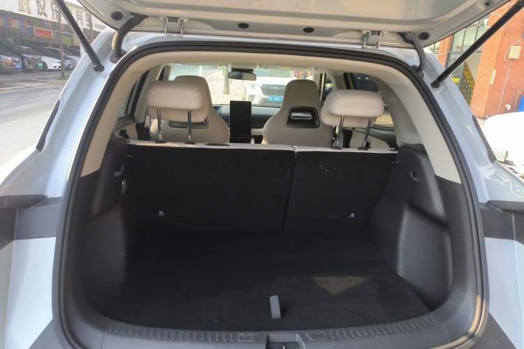 Used BYD Yuan UP 2024 401KM Leading Edition