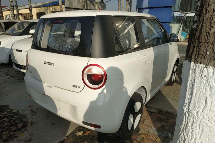 Used Qiyuan Lumin 2025 205 km Xiangqin Version
