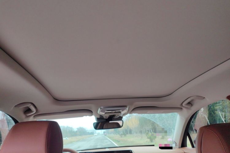 Used Hongqi H9 2024 2.0T Qixiang Private Style Edition