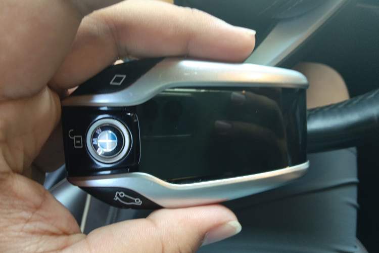 Used BMW 5 Series New Energy 2019 530Le Luxury Package
