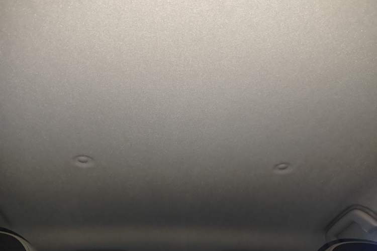 Used ORA Black Cat 2021 301 km Basic Version