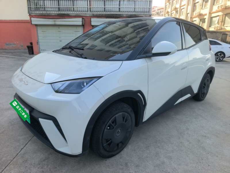 Used BYD Seagull 2023 Active Version — 1