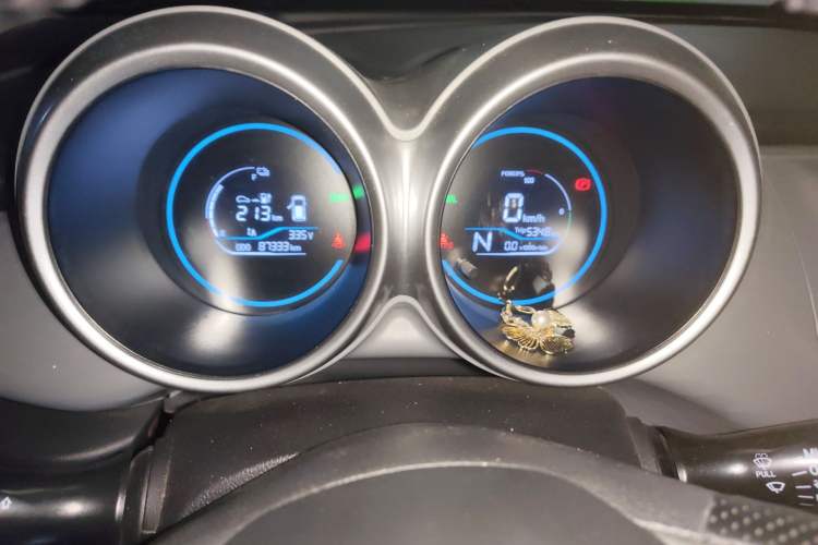 Used ORA Black Cat 2021 351 km Standard Version
