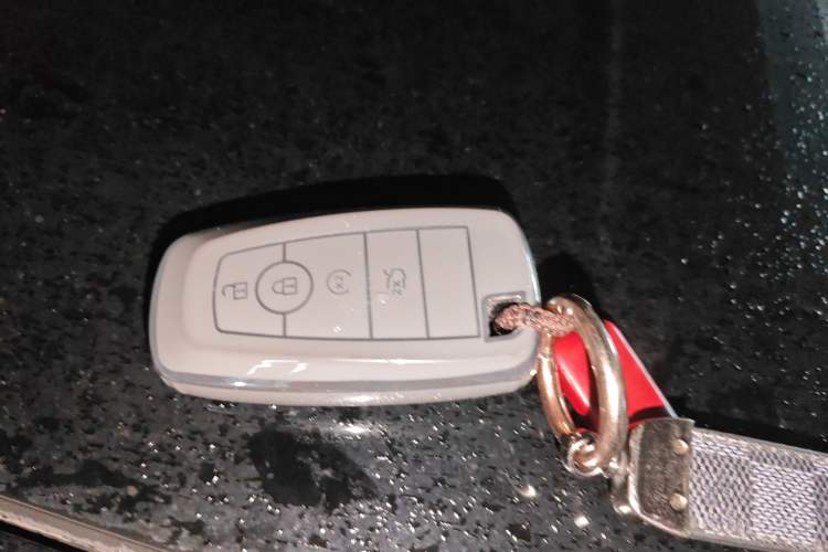 Used Ford Mustang Mach-E 2021 Leap Edition Rear-Drive Version (Standard Range)