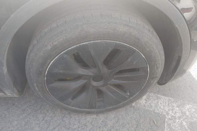 Used Tesla Model Y 2023 Rear-Wheel-Drive Version
