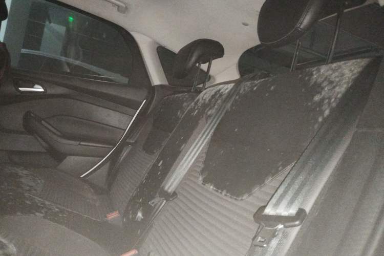 Used Ford Focus 2017 Hatchback 1.6L Manual Fashion Edition SmartDrive Version Left Rear Seat