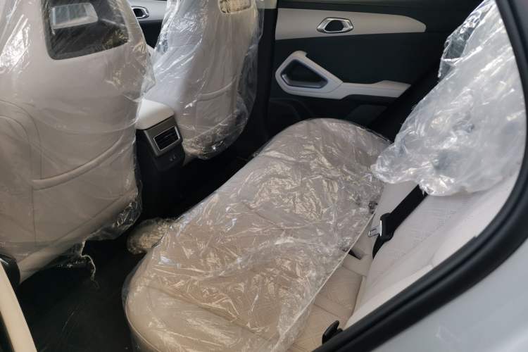 Used BYD Yuan UP 2025 Model 301KM Leading Version Left Rear Seat