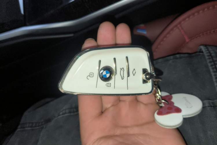 Used BMW 3 Series 2024 325Li M Sport Package
