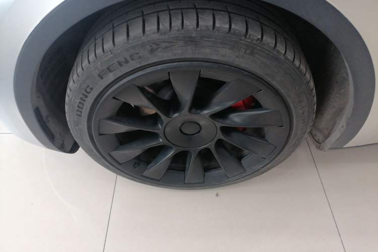 Used Tesla Model Y 2021 Standard Range Rear-Wheel Drive Version