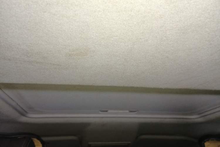 Used Ford EcoSport 2013 1.5L Automatic Prestige Model Headliner