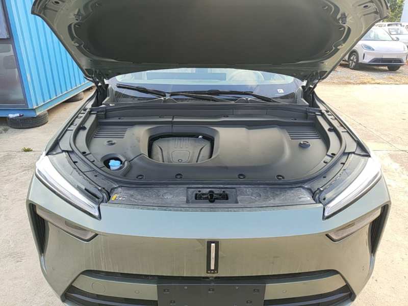 Used Wey Lanshan 2025 Four-Wheel Drive Max — 19