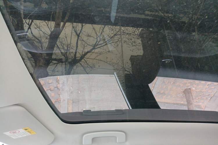 Used Venucia VX6 2023 520 Max
