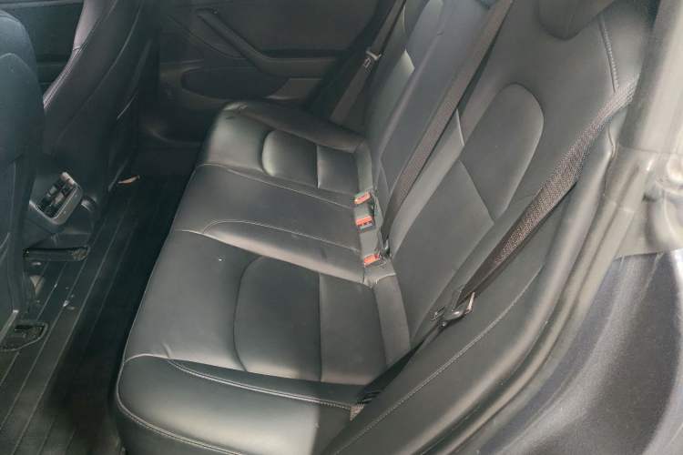 Used Tesla Model 3 2020 Revised Version Standard Range Rear-Wheel Drive – Upgraded Edition
