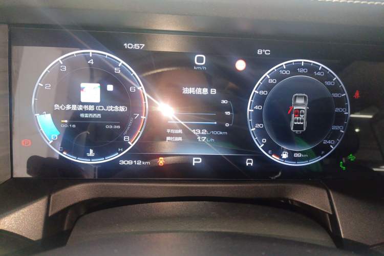 Used Tank 300 2021 City Edition 2.0T—Truly Stylish