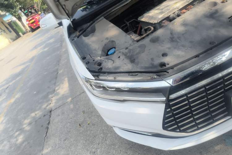 Used BYD Qin New Energy 2019 High-Range Luxury Model