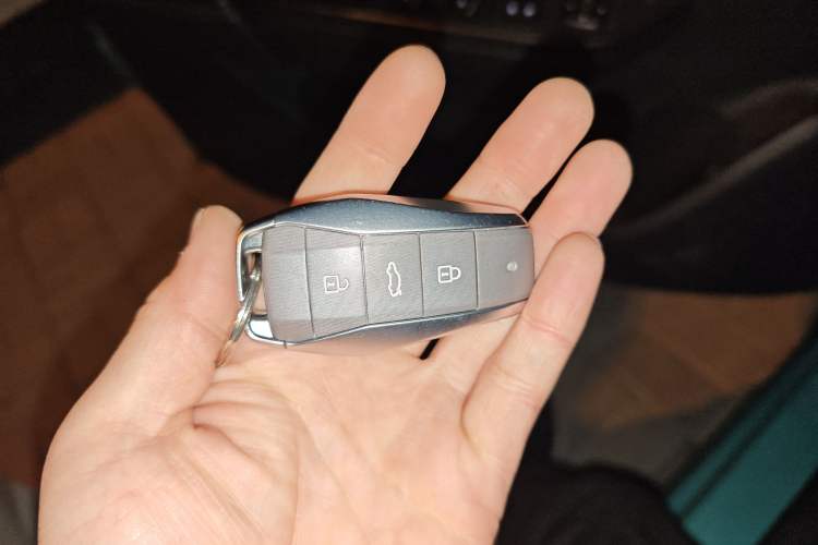 Used SOL E10X 2022 Flower Fairy Design Four-Leaf Clover Vehicle Key