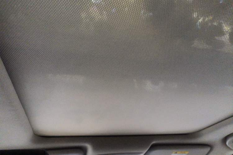 Used Venucia T60EV 2020 AI Enjoyment Model