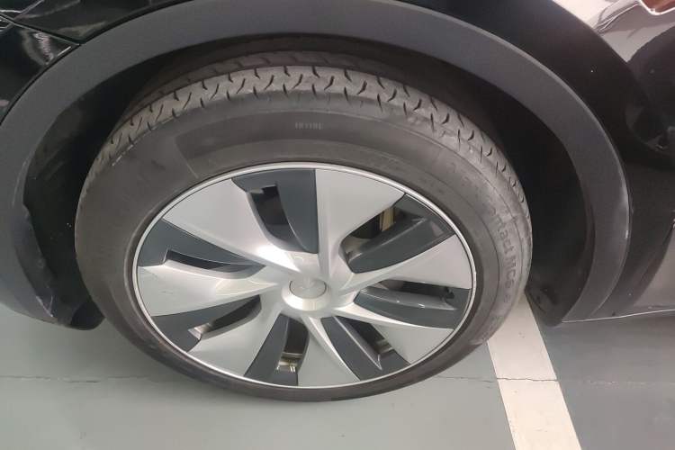 Used Tesla Model Y 2021 Standard Range Rear-Wheel Drive Version
