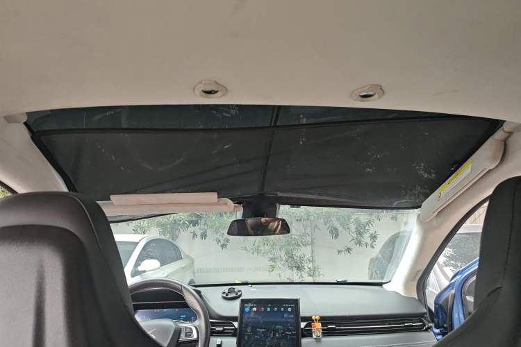 Used XPeng G3 2019 Deluxe Edition Headliner
