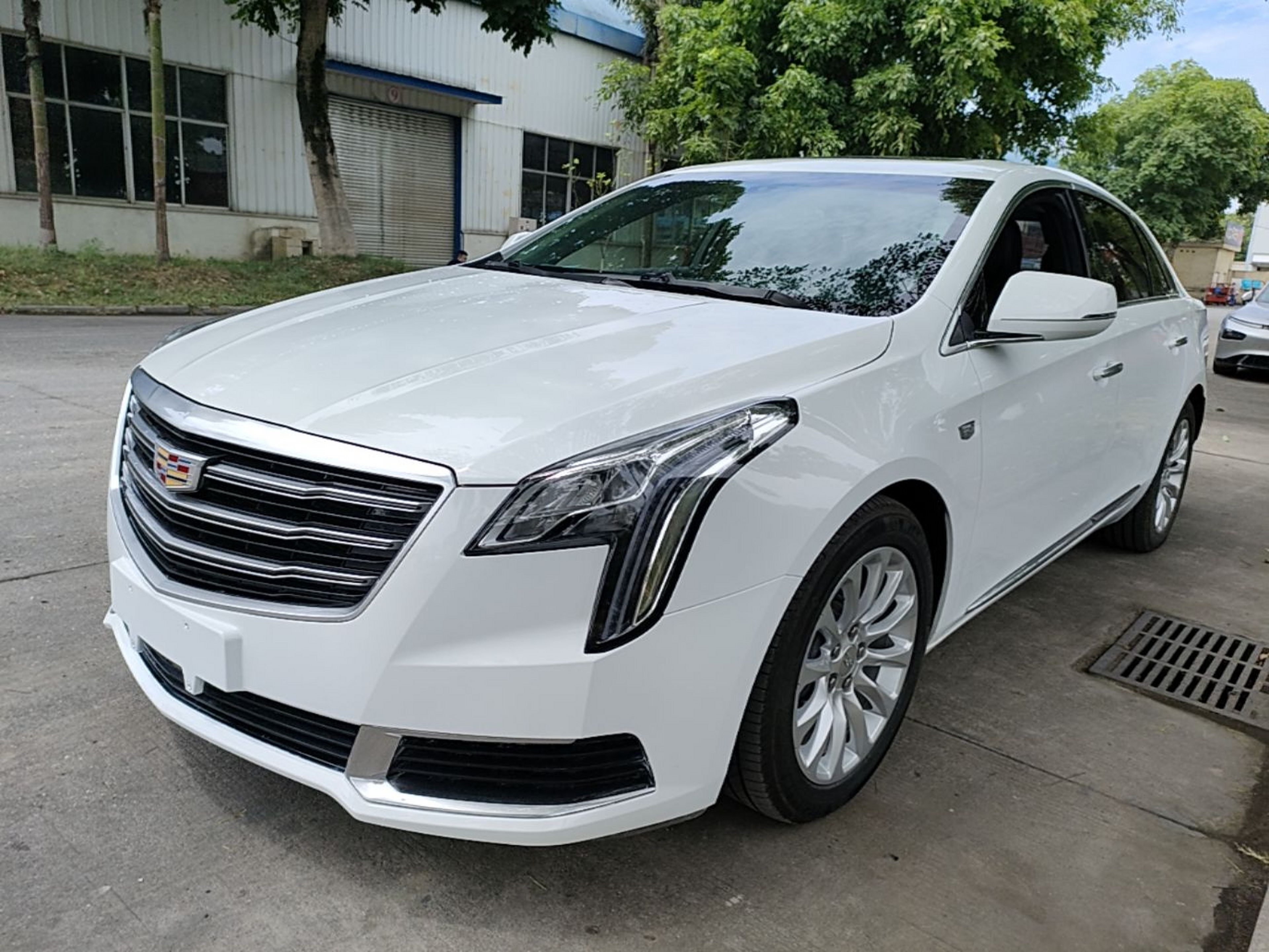 Under Front Bumper