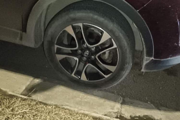 Used Soueast DX7 2017 1.5T Manual Triumph Edition